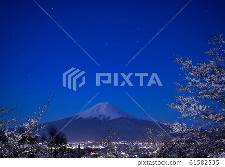 [山梨縣]新村山仙根公園1夜櫻花 61582535
