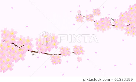 櫻花盛開在左右兩側 櫻花盛開在左右兩側 61583199
