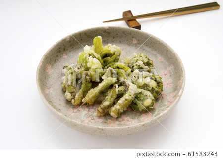 野菜春天來了♪天婦羅 61583243