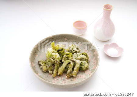 Wild vegetables spring has come♪ Tempura Wild vegetables spring has come♪ Tempura 61583247