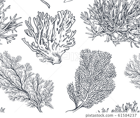 Vector seamless pattern with hand drawn ocean... - Stock Illustration ...