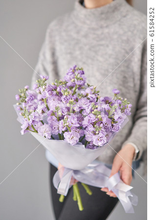 Spring floral. Fresh A bouquet of lilac Mattioli close up. Womens or Mothers Day Theme. Fresh cut flower. 61584252