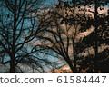 Nostalgic sunset 61584447