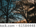 Nostalgic sunset 61584448