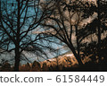 Nostalgic sunset 61584449