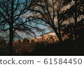 Nostalgic sunset 61584450