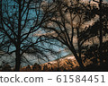 Nostalgic sunset 61584451