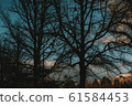 Nostalgic sunset 61584453