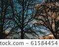 Nostalgic sunset 61584454
