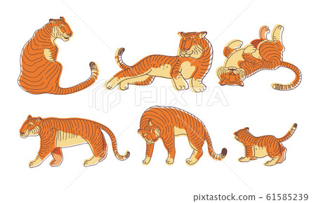 tigers wild cat vector set. Light Blue Bengal Tiger Animals Icons for Print  or Tattoo Design. Hand-drawn Freehand Zoo Illustration. Art Drawing of  Isolated Circus Animal:: موقع تصميمي