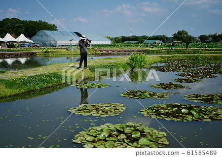 Photographer Photographer 61585489