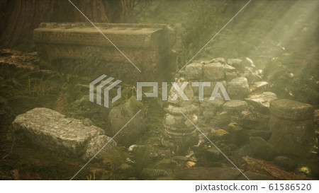 Hoary ruins of ancient city in pine forest Hoary ruins of ancient city in pine forest 61586520