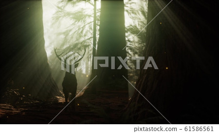 Beautiful deer in the forest with amazing lights Beautiful deer in the forest with amazing lights 61586561