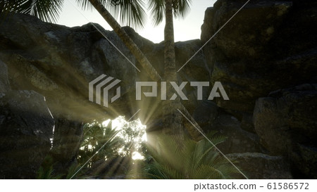 Big Palms in Stone Cave with Rays of Sunlight 61586572