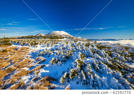 Winter mountain landscape with with snowy scrub. Winter mountain landscape with with snowy scrub. 61591778
