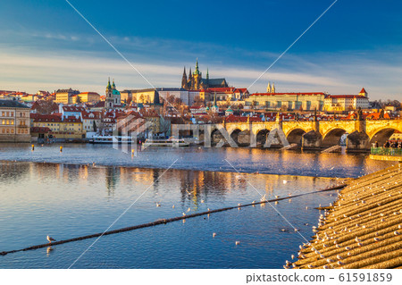 Prague Castle and Charles bridge above Vltava Prague Castle and Charles bridge above Vltava 61591859