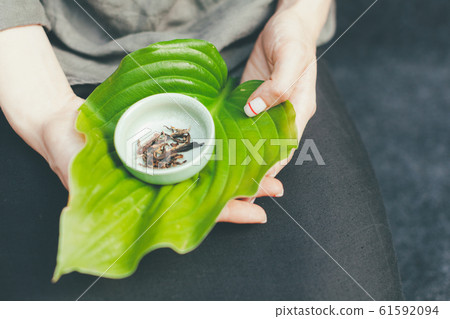 Dry tea leaves in a white saucer. Unrecognizable Dry tea leaves in a white saucer. Unrecognizable 61592094