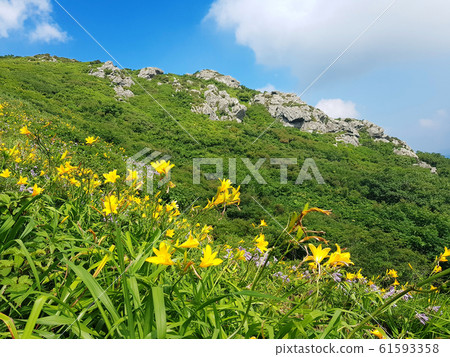 Deogyusan Confectionery Deogyusan Confectionery 61593358