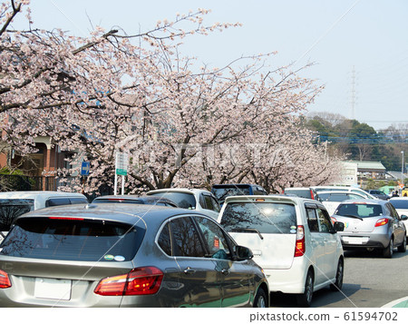 櫻花交通 61594702