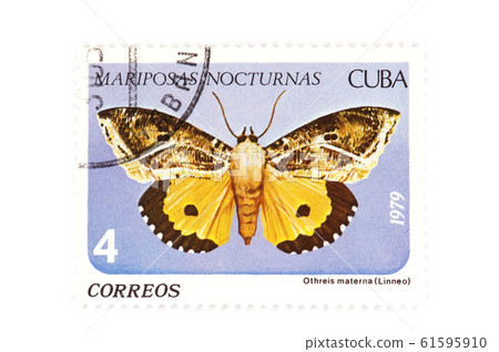 postage stamp butterfly postage stamp butterfly 61595910