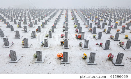 Snowed National Daejeon Cemetery Winter Scenery Snowed National Daejeon Cemetery Winter Scenery 61596069