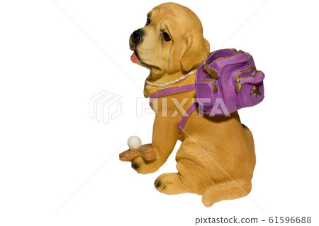 Dog Dog 61596688