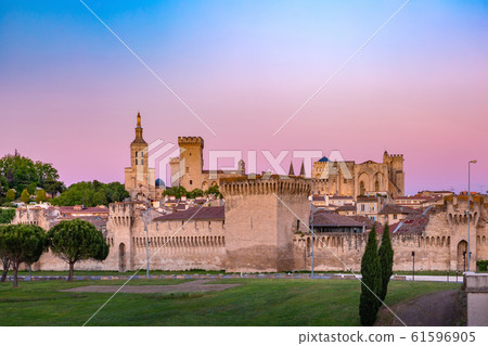 Palace of the Popes, Avignon, France 61596905
