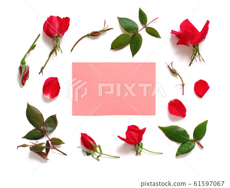Flowers and leaves on a white background Flowers and leaves on a white background 61597067