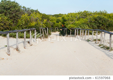 Dunes near Torre San Giovanni Dunes near Torre San Giovanni 61597068
