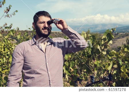 Caucasian man looking through refractometer in a vineyard and testing red grape. 61597278