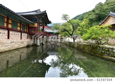 Songgwangsa Temple Songgwangsa Temple 61597304
