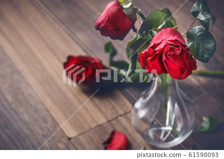 Withered rose Valentine withered rose Rose Rose Withered rose Valentine withered rose Rose Rose 61598093