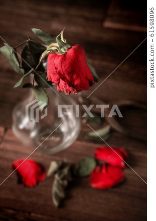 Withered rose Valentine withered rose Rose Rose Withered rose Valentine withered rose Rose Rose 61598096