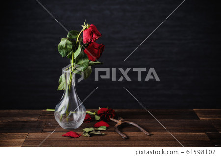 Withered rose Valentine withered rose Rose Rose 61598102
