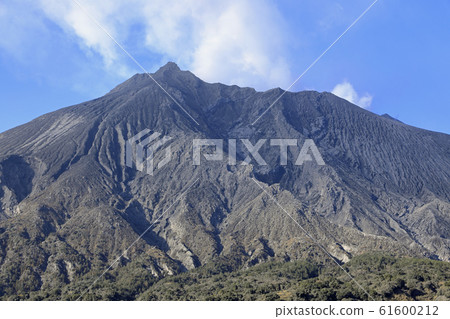Sakurajima seen from Arimura lava observatory 61600212