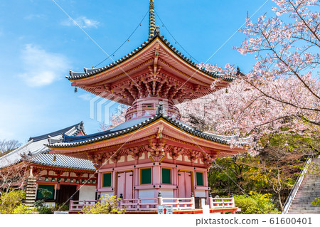 Tahoto and Sakura Nara Tsubosakaji Tahoto and Sakura Nara Tsubosakaji 61600401