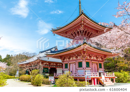Tahoto and Sakura Nara Tsubosakaji Tahoto and Sakura Nara Tsubosakaji 61600404