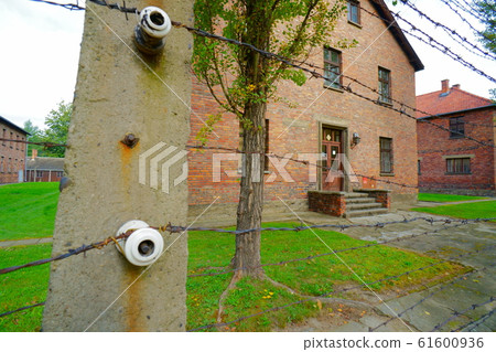 波蘭奧斯威辛-比克瑙集中營 61600936