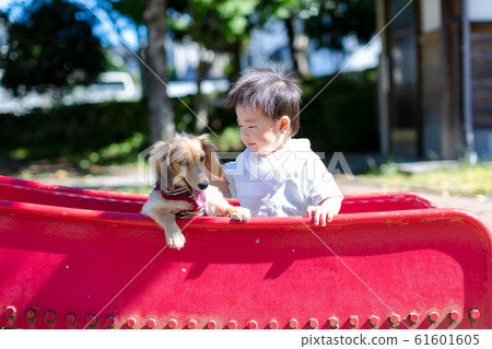嬰兒和狗在公園裡玩 61601605