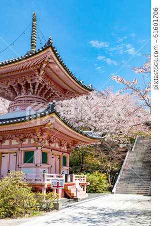 Tahoto和Sakura Nara Tsubosakaji 61601706