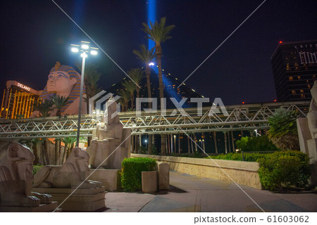 Las Vegas night view 61603062