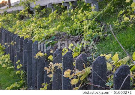 Railside side 61603271