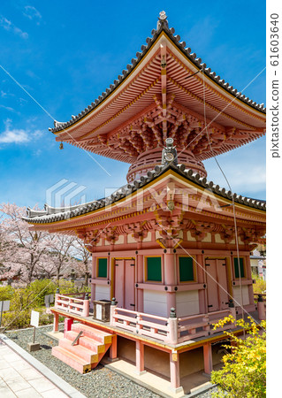 Tahoto and Sakura Nara Tsubosakaji 61603640