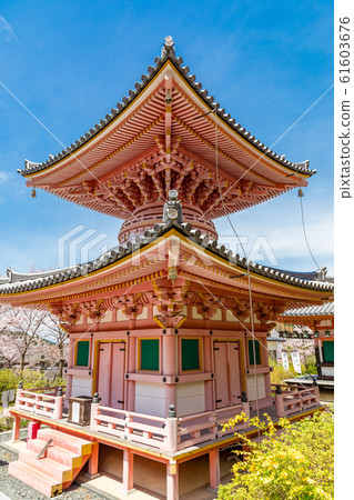 Tahoto和Sakura Nara Tsubosakaji Tahoto和Sakura Nara Tsubosakaji 61603676