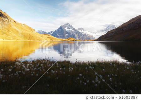 Bachalpsee lake in Swiss Alps mountains 61603887