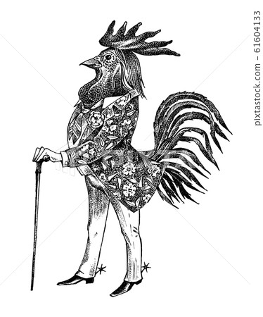 A rooster man with a cane and boots in a cowboy style. Hand drawn fashionable cockerel. Engraved old 61604133