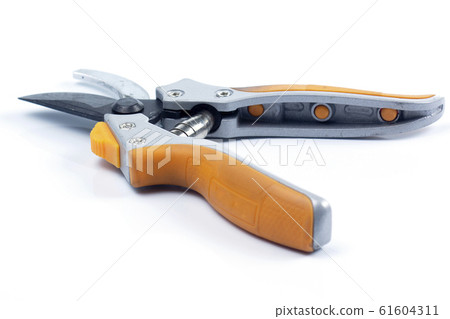 Orange branch scissor Orange branch scissor 61604311