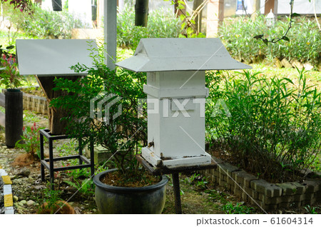 Man made home or nest for sting less bee or local tongue call kelulut Man made home or nest for sting less bee or local tongue call kelulut 61604314