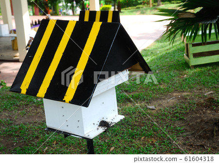 Man made home or nest for sting less bee or local tongue call kelulut Man made home or nest for sting less bee or local tongue call kelulut 61604318