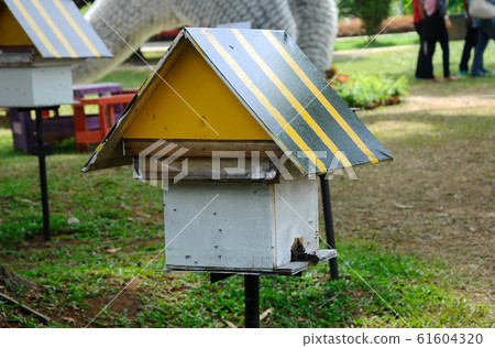 Man made home or nest for sting less bee or local tongue call kelulut Man made home or nest for sting less bee or local tongue call kelulut 61604320